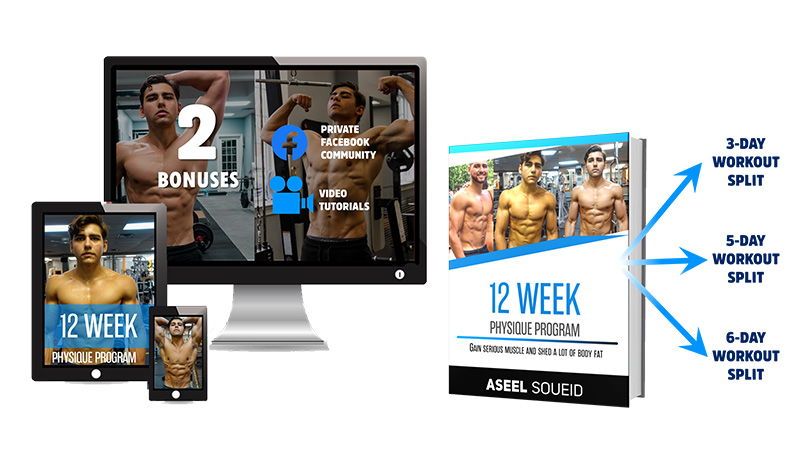 Personalized Workout Plan by Aseel Soueid
